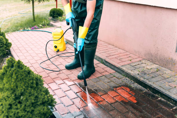 Best Sidewalk and Walkway Cleaning  in Buhler, KS