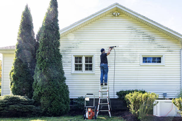 Best Patio and Deck Pressure Washing  in Buhler, KS